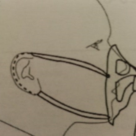 OxyMask Standard - Dual Ear Elastics OM-1425-8 (Case of 25)